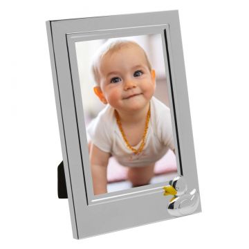 Wallace Baby Duck 4" x 6" Photo Frame image